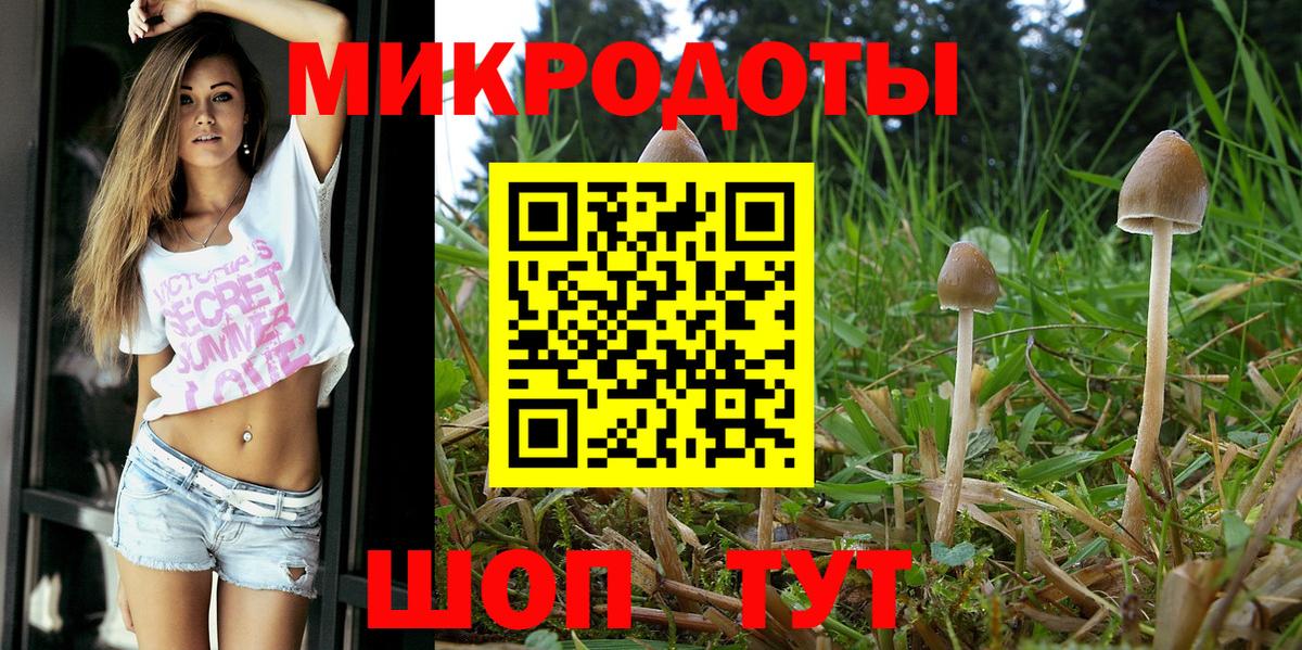 Псилоцибиновые грибы GOLDEN TEACHER Нижний Тагил