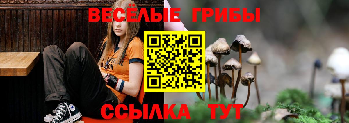 Нижний Тагил  Псилоцибиновые грибы мухоморы  Вход с VPN 
