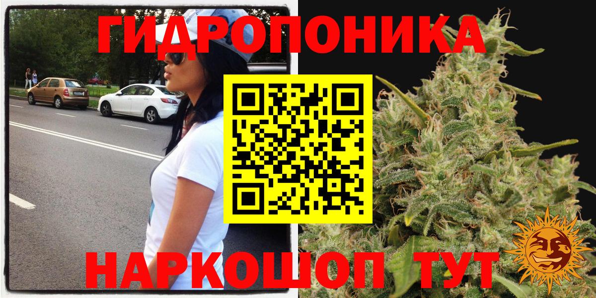 Каннабис SATIVA & INDICA  Шишки марихуана Amnesia  Канабис White Widow  Вход с VPN  Нижний Тагил 